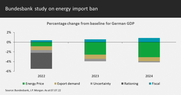 Study on energy import ban