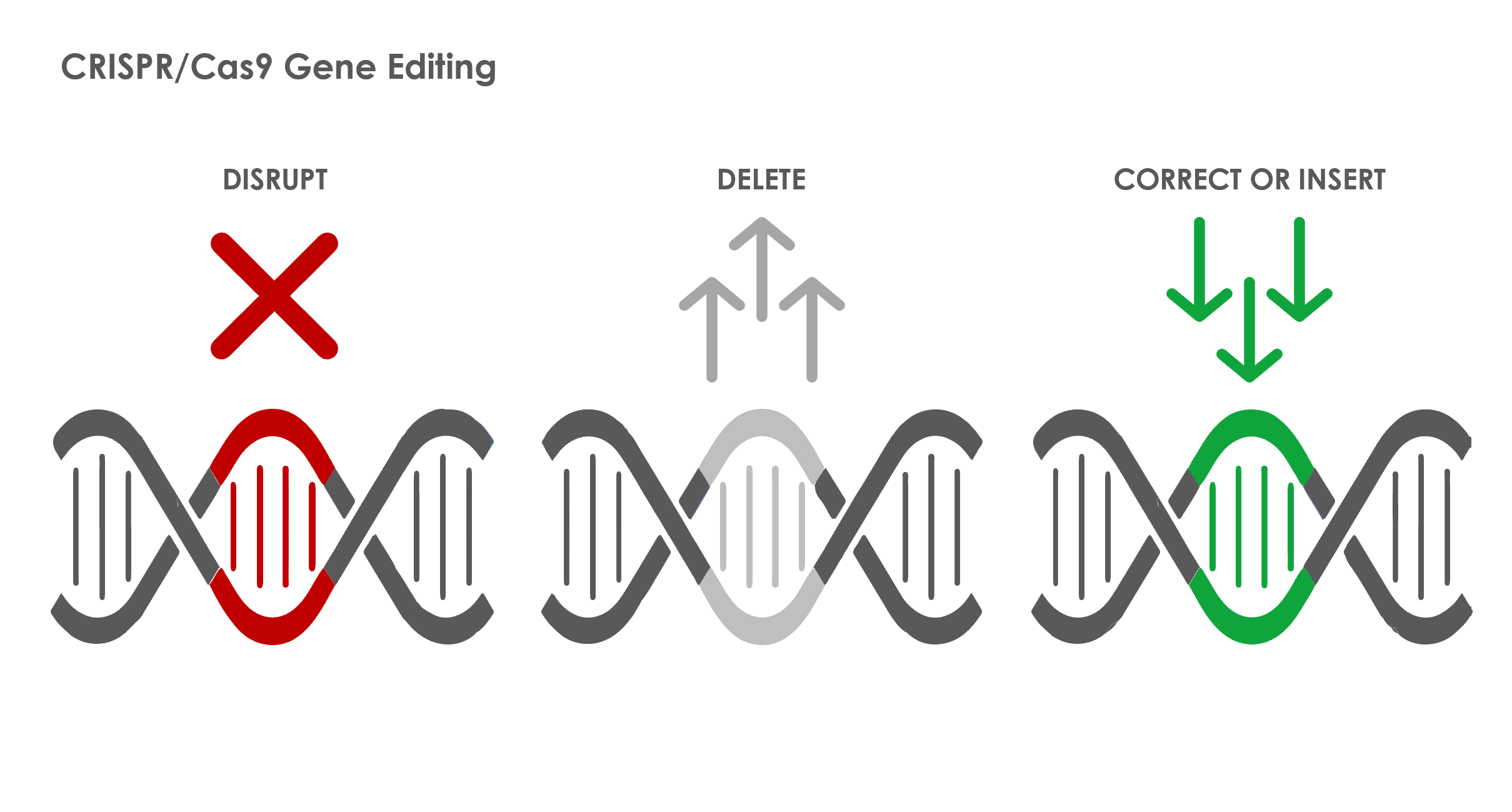 CRISPR Cas9 Gene editing chart